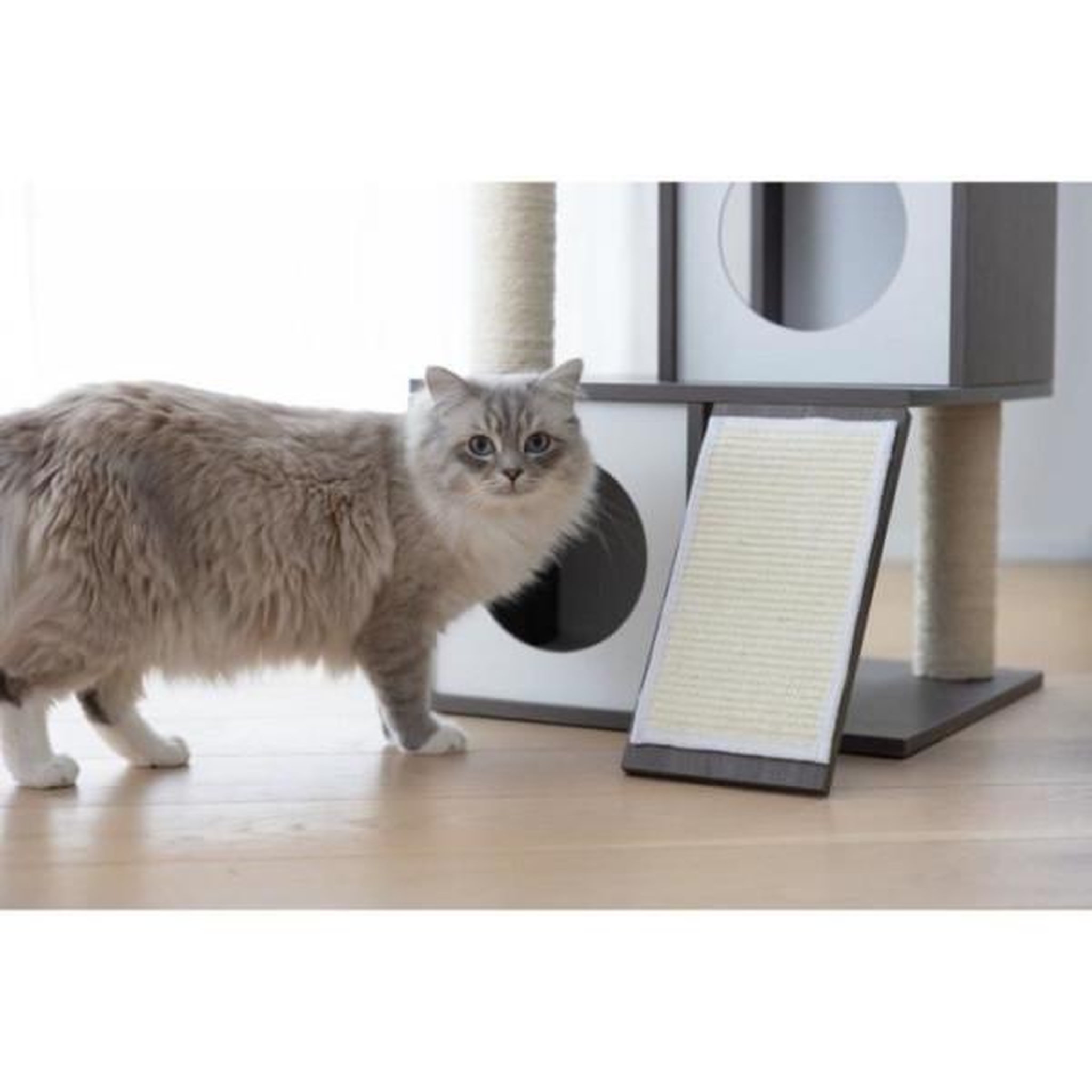 Voir la diapositive 5 : KERBL KERBL - Arbre a chat FLAIR - 48x44x86cm - Blanc/gris - Sisal