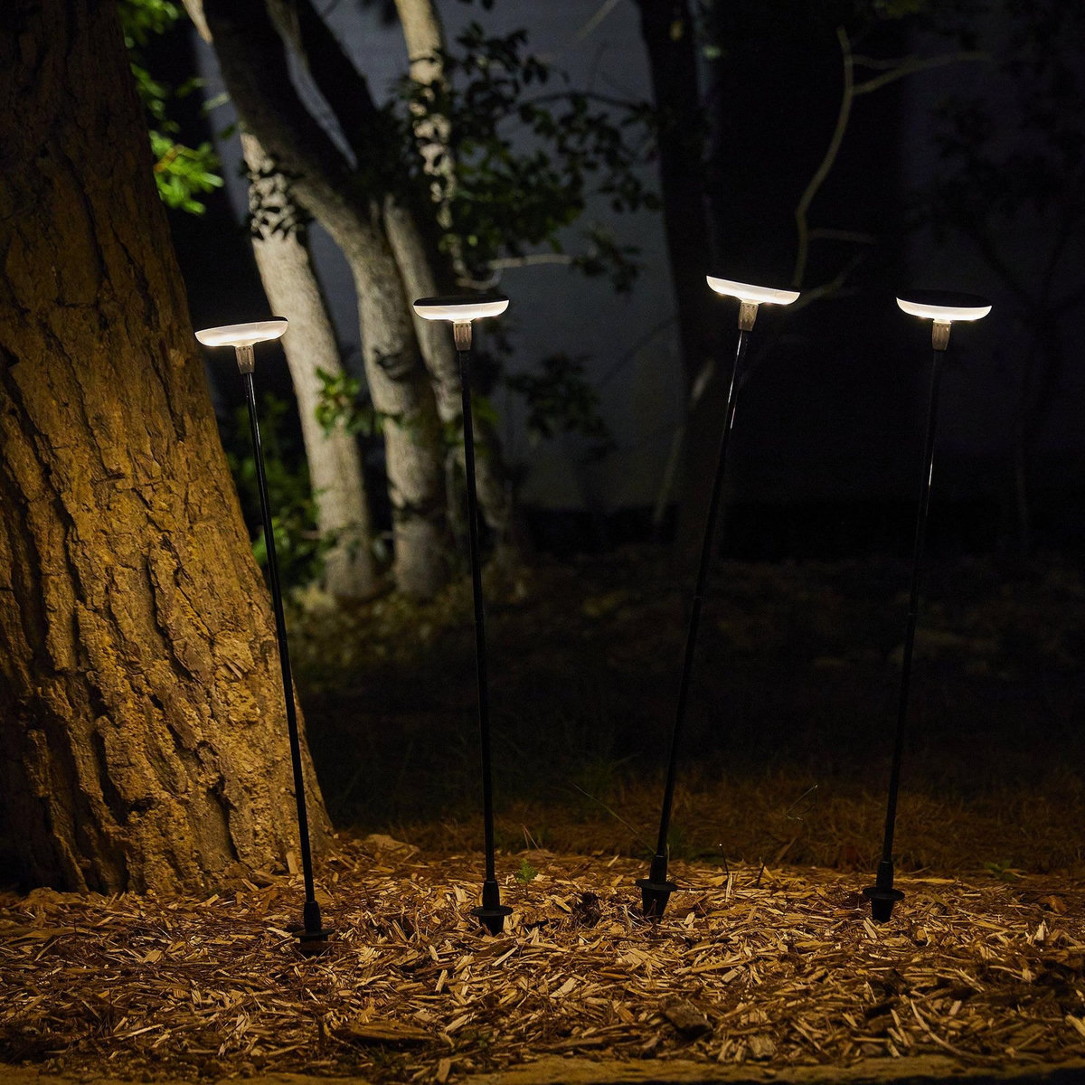 Lumisky Lot de 4 balises solaires LUCENTY Noir Plastique H76 cm