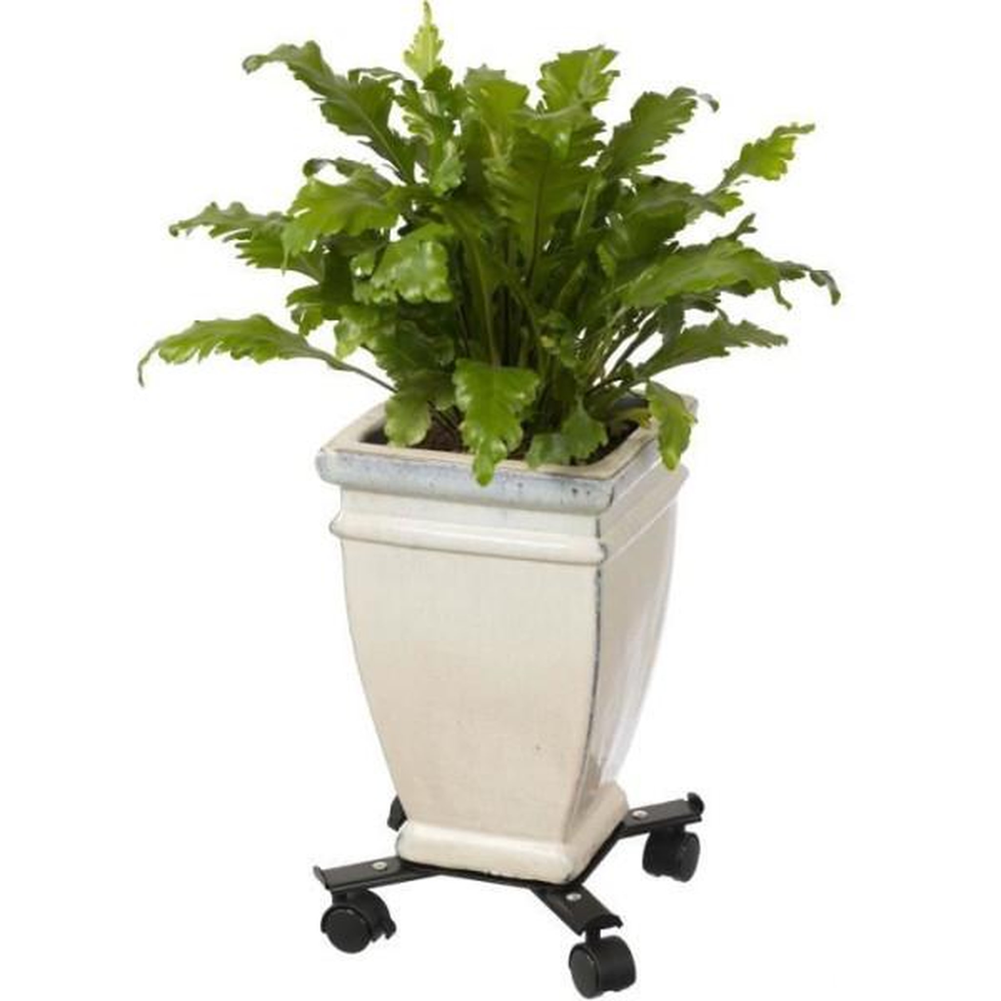 Voir la diapositive 6 : NATURE Support de pot roulant extensible - NATURE - En métal époxy noir mat - 4 branches - Charge maxi 100 kg