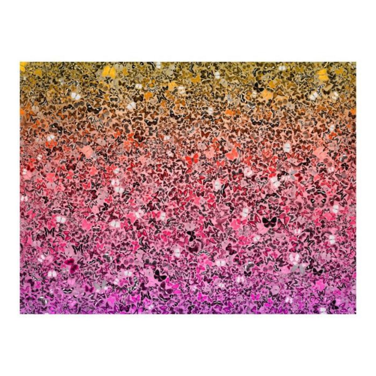 Paris Prix Papier Peint  The Language of Butterflies