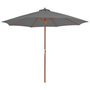 Voir la diapositive 1 : VIDAXL Parasol d'exterieur avec mat en bois 300 cm anthracite