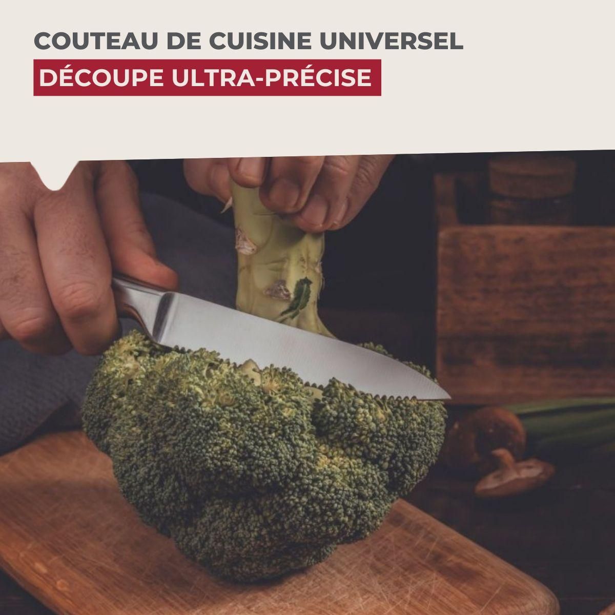 NIROSTA Couteau de cuisine professionnel 24 cm lame crantée Nirosta Star