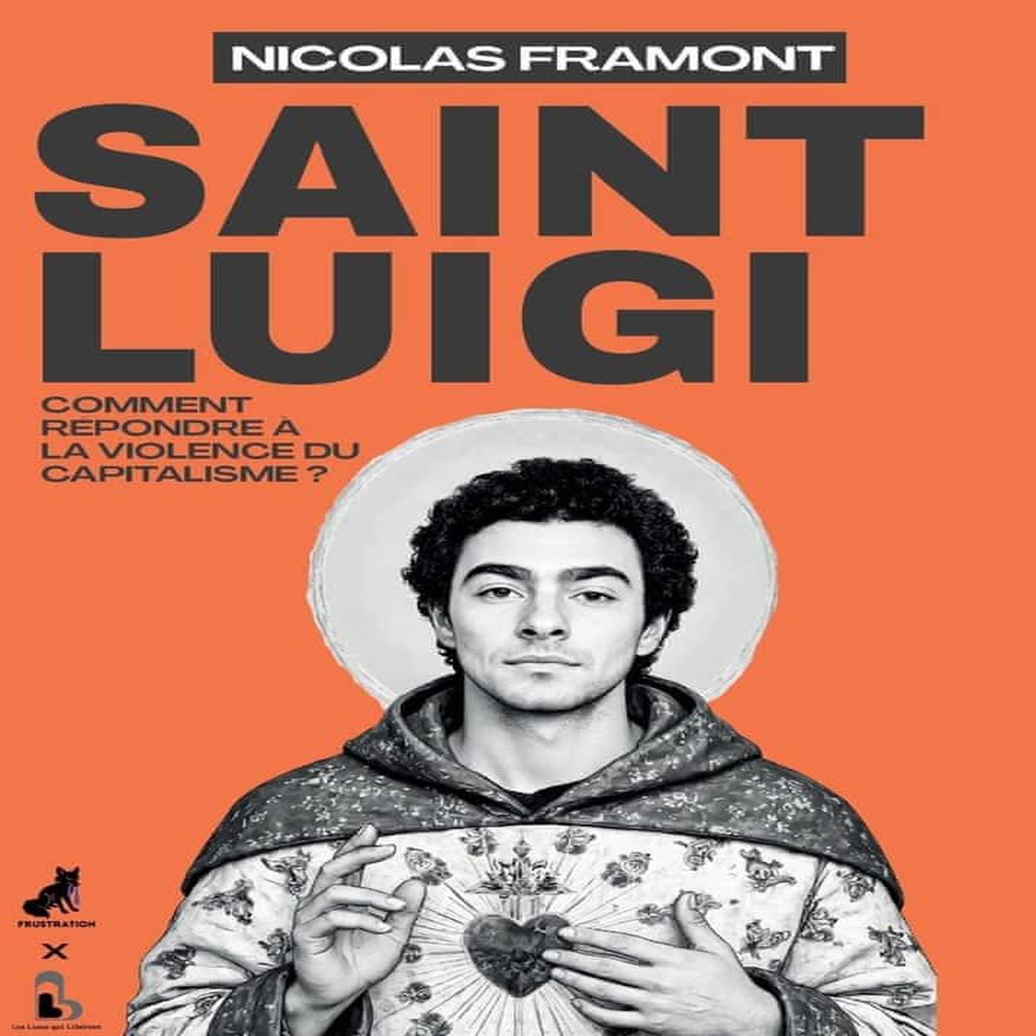SAINT LUIGI. COMMENT REPONDRE A LA VIOLENCE DU CAPITALISME ?, Framont Nicolas