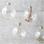 RICO DESIGN Boule en verre décorative naturelle - fougère séchée - 8 cm