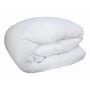 Voir la diapositive 4 : Bleu Calin Couette toutes saisons microfibre 200 x 200 cm pour lit 90 à 120 x 190 cm - Blanc - 200 x 200 cm pour lit en 120