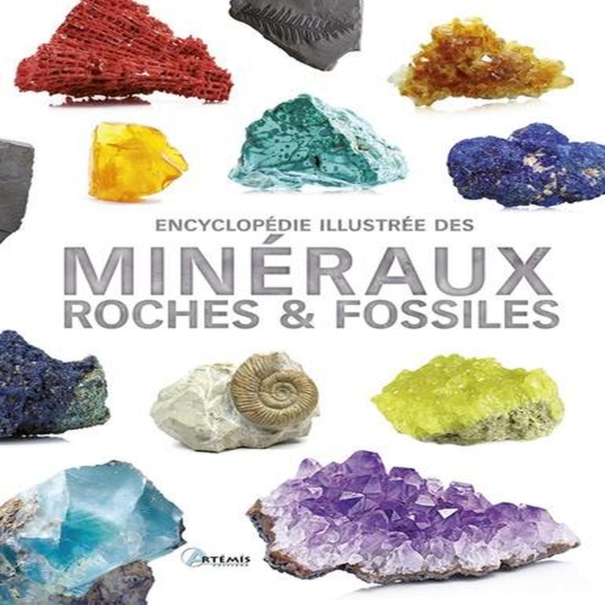 ENCYCLOPEDIE ILLUSTREE DES MINERAUX, ROCHES ET FOSSILES, Martul Hernández Carmen