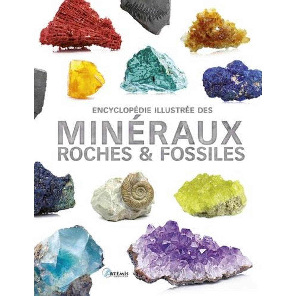 ENCYCLOPEDIE ILLUSTREE DES MINERAUX, ROCHES ET FOSSILES, Martul Hernández Carmen