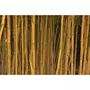  Bambou panaché - Le pot / 2L / Hauteur livrée 40-50cm - Willemse