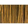  Bambou panaché - Le pot / 2L / Hauteur livrée 40-50cm - Willemse