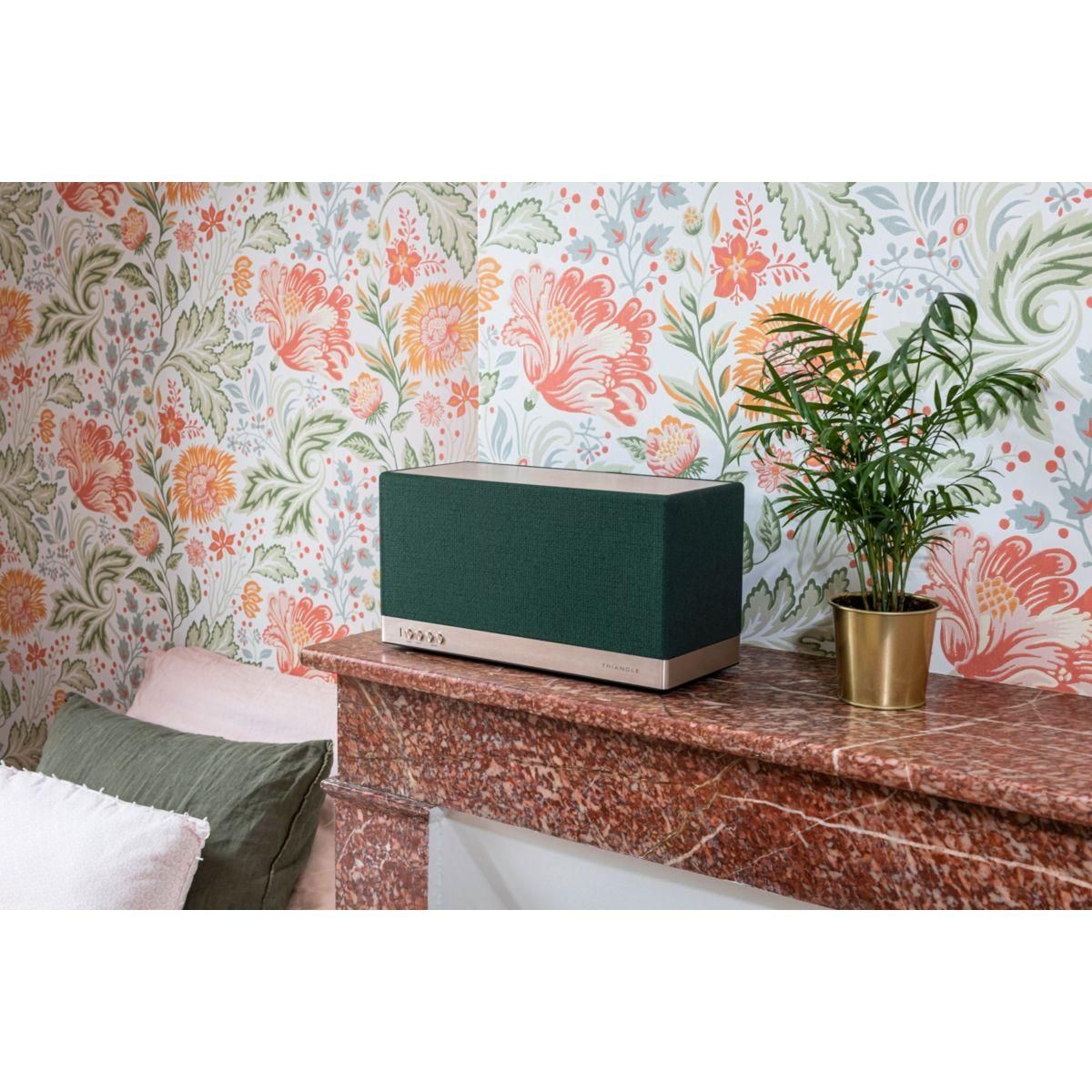 Triangle Enceinte résidentielle AIO 3 Vert foret