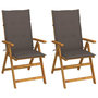 Voir la diapositive 1 : VIDAXL Chaises inclinables de jardin lot de 2 et coussins Bois acacia