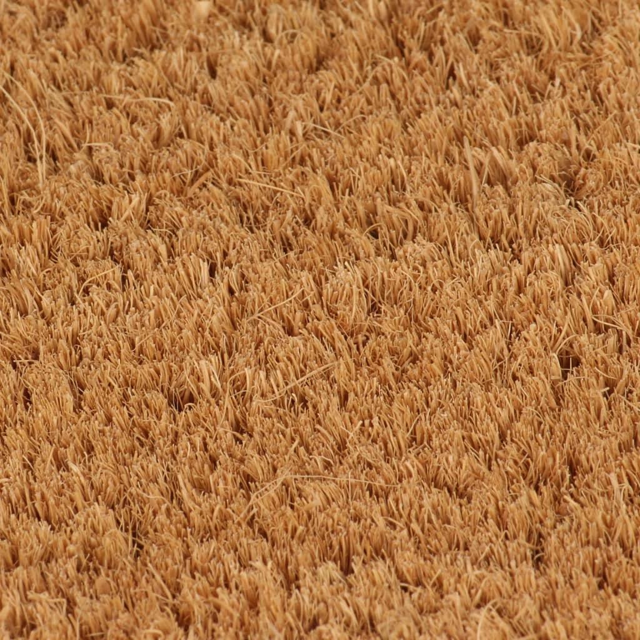 Voir la diapositive 5 : VIDAXL Tapis de porte naturel 90x150 cm fibre de coco touffete