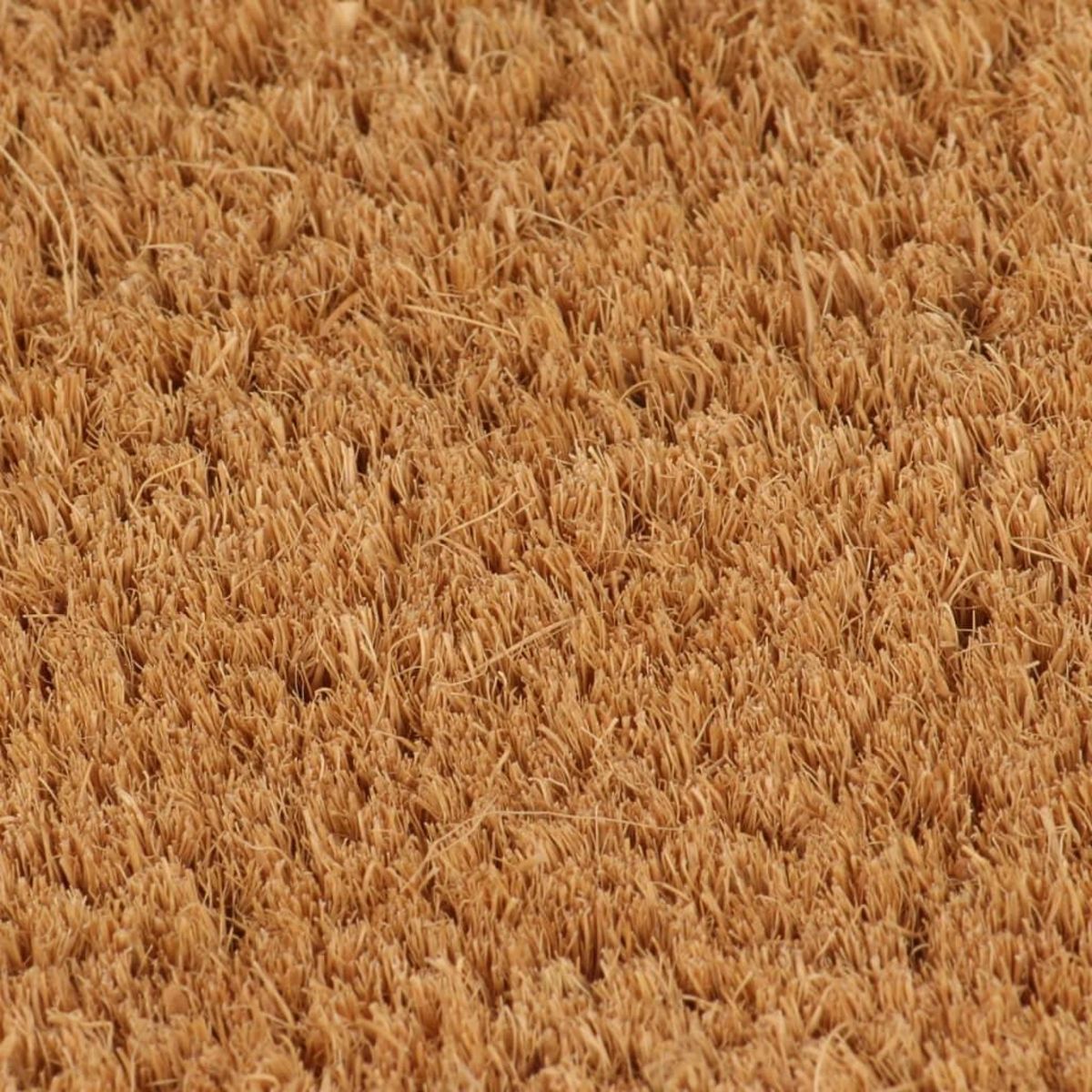 VIDAXL Tapis de porte naturel 90x150 cm fibre de coco touffete