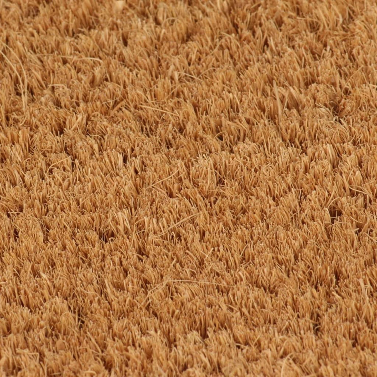 VIDAXL Tapis de porte naturel 90x150 cm fibre de coco touffete
