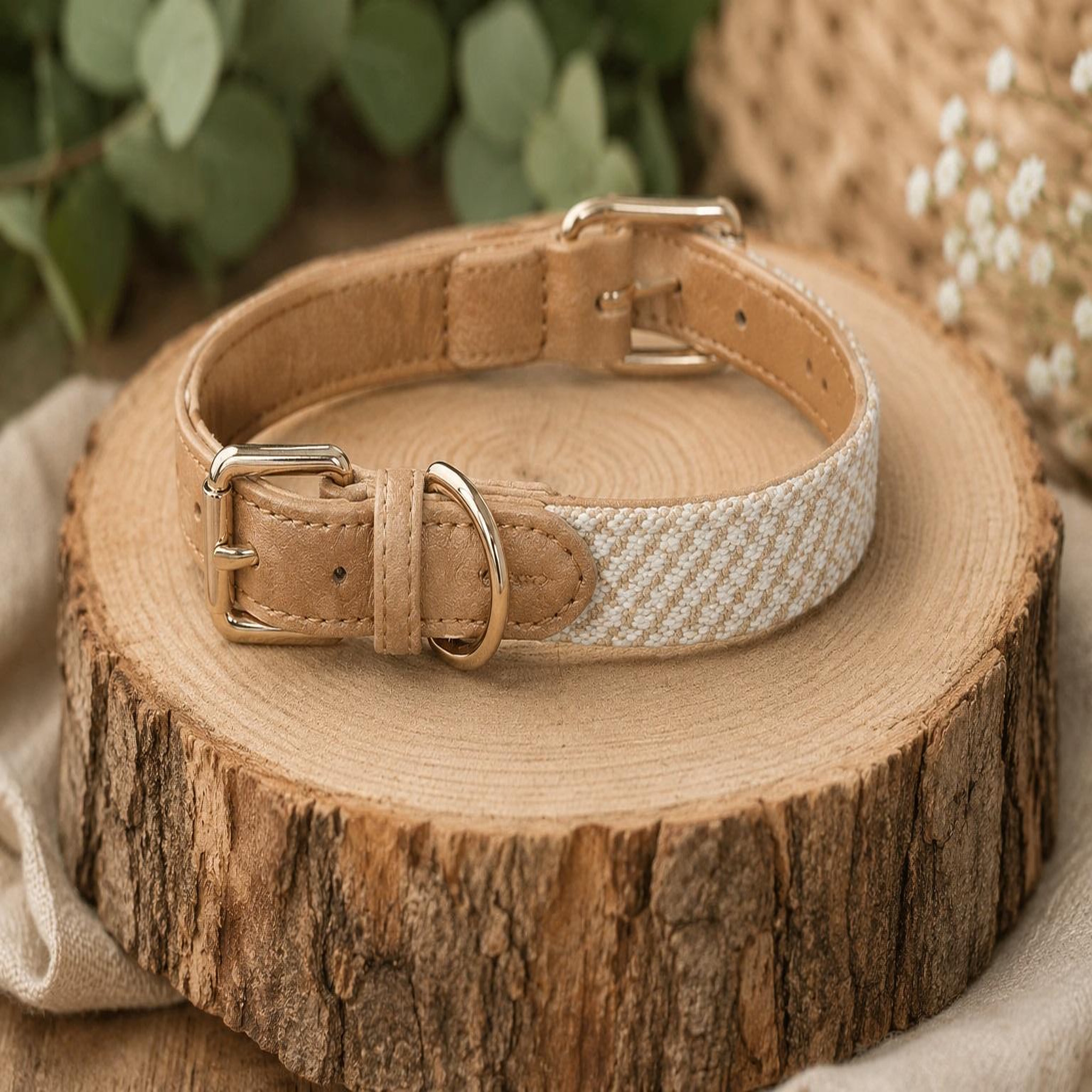 Voir la diapositive 4 : Eden Chien collier lara beige