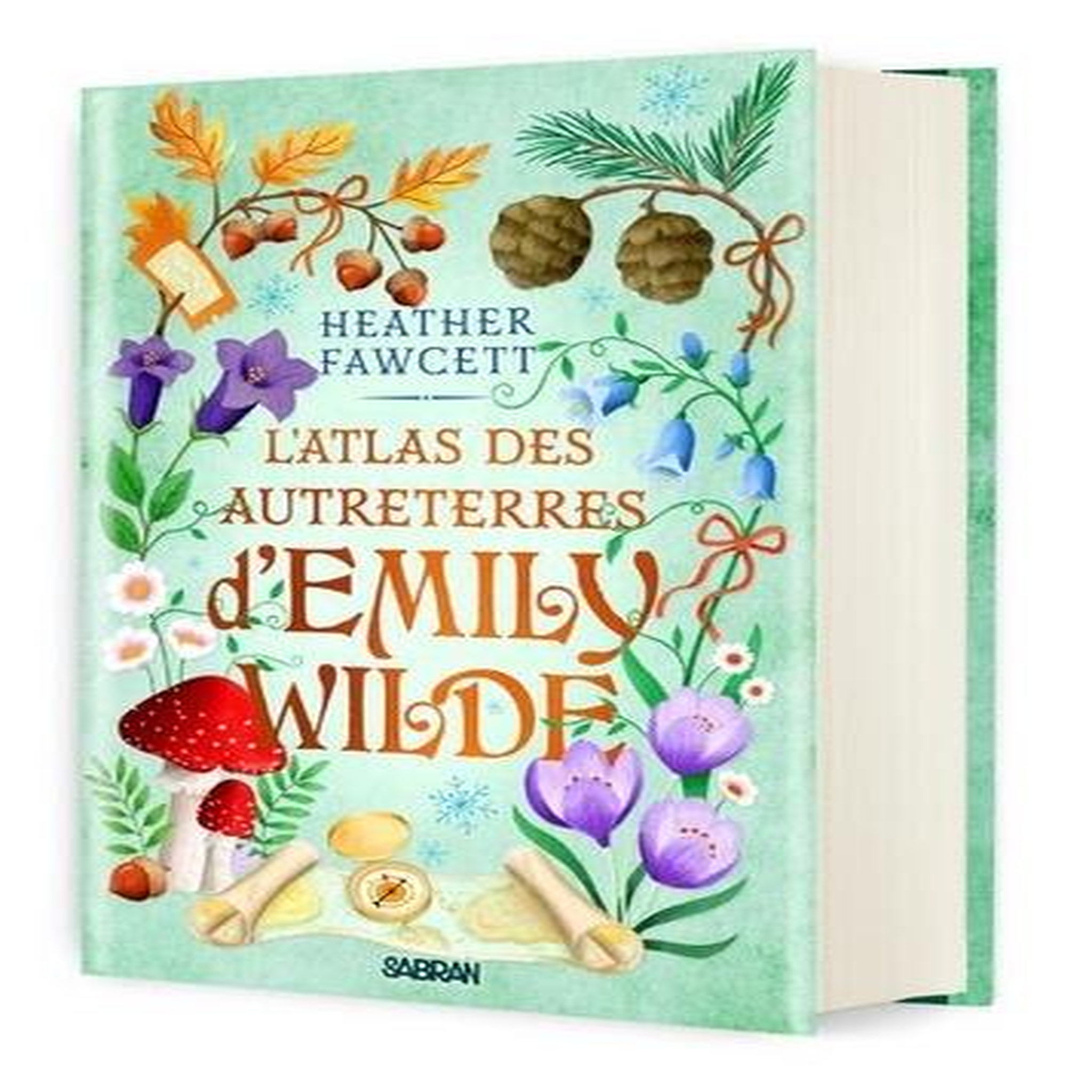 L'ENCYCLOPEDIE FEERIQUE D'EMILY WILDE TOME 2 : L'ATLAS DES AUTRETERRES D'EMILY WILDE. EDITION COLLECTOR, Fawcett Heather