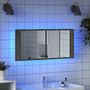 Voir la diapositive 4 : VIDAXL Armoire a miroir a LED de bain gris sonoma 100x12x45 cm