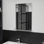 Voir la diapositive 1 : VIDAXL Miroir mural avec etagere 40x60 cm Verre trempe