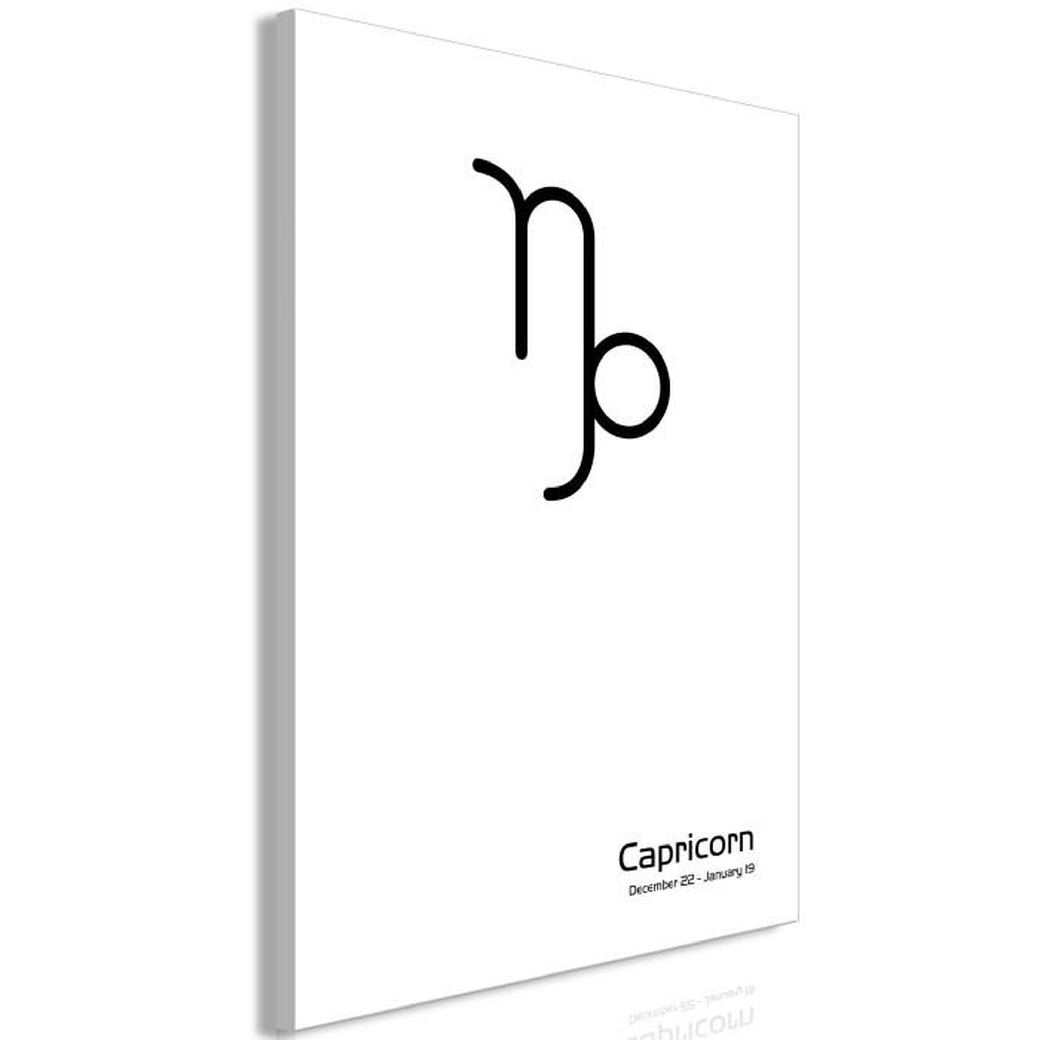 Paris Prix Tableau Imprimé  Capricorn. Coloris disponibles : Multicolore