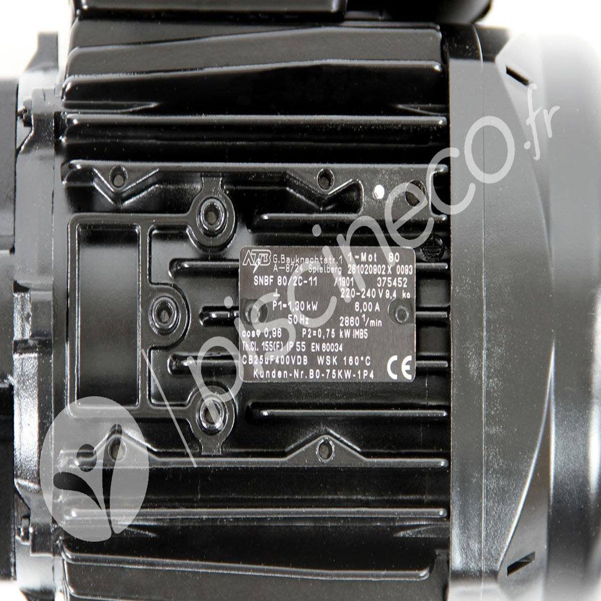 Pentair Moteur pour pompes La Sta-Rite 1 CV Tri - Pentair