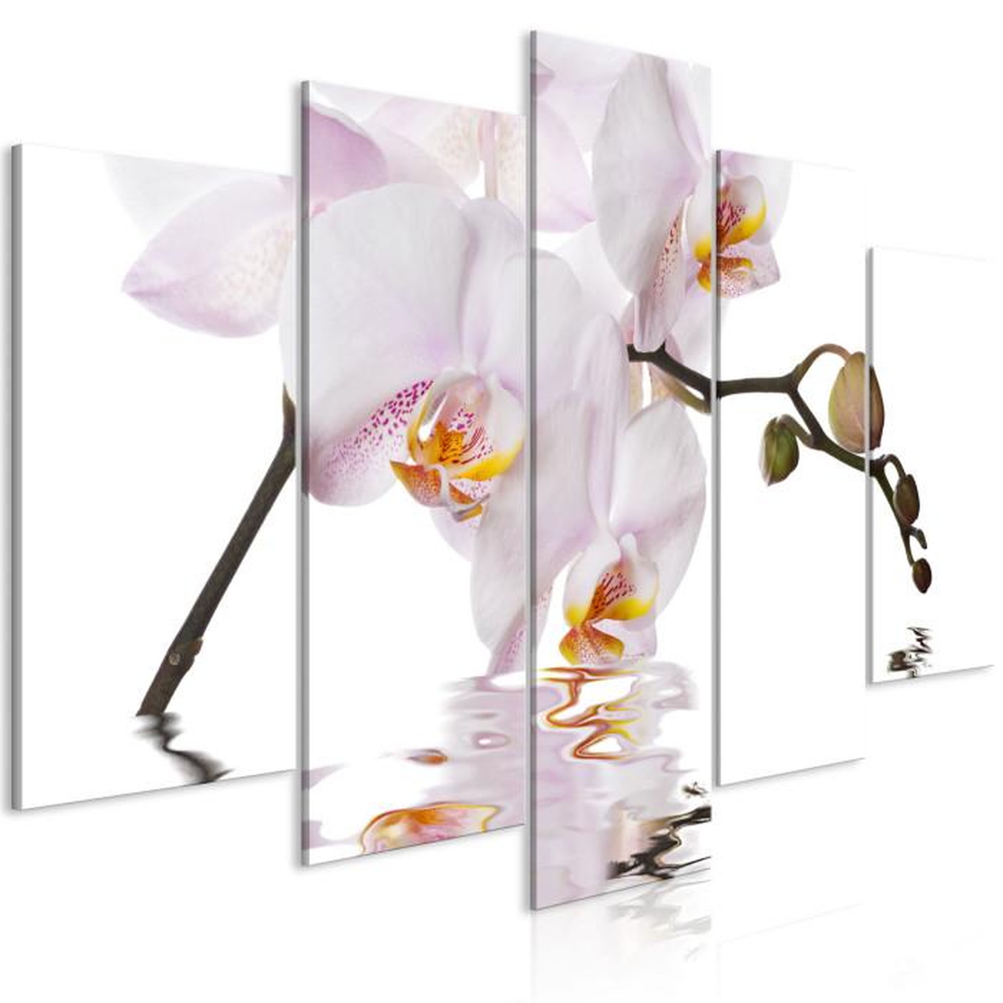 Paris Prix Tableau Imprimé 5 Panneaux  Delightful Orchid Wide. Coloris disponibles : Multicolore