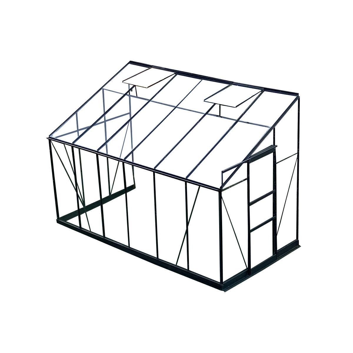 GREEN PROTECT Serre de jardin adossée verre trempé 7,22m² 