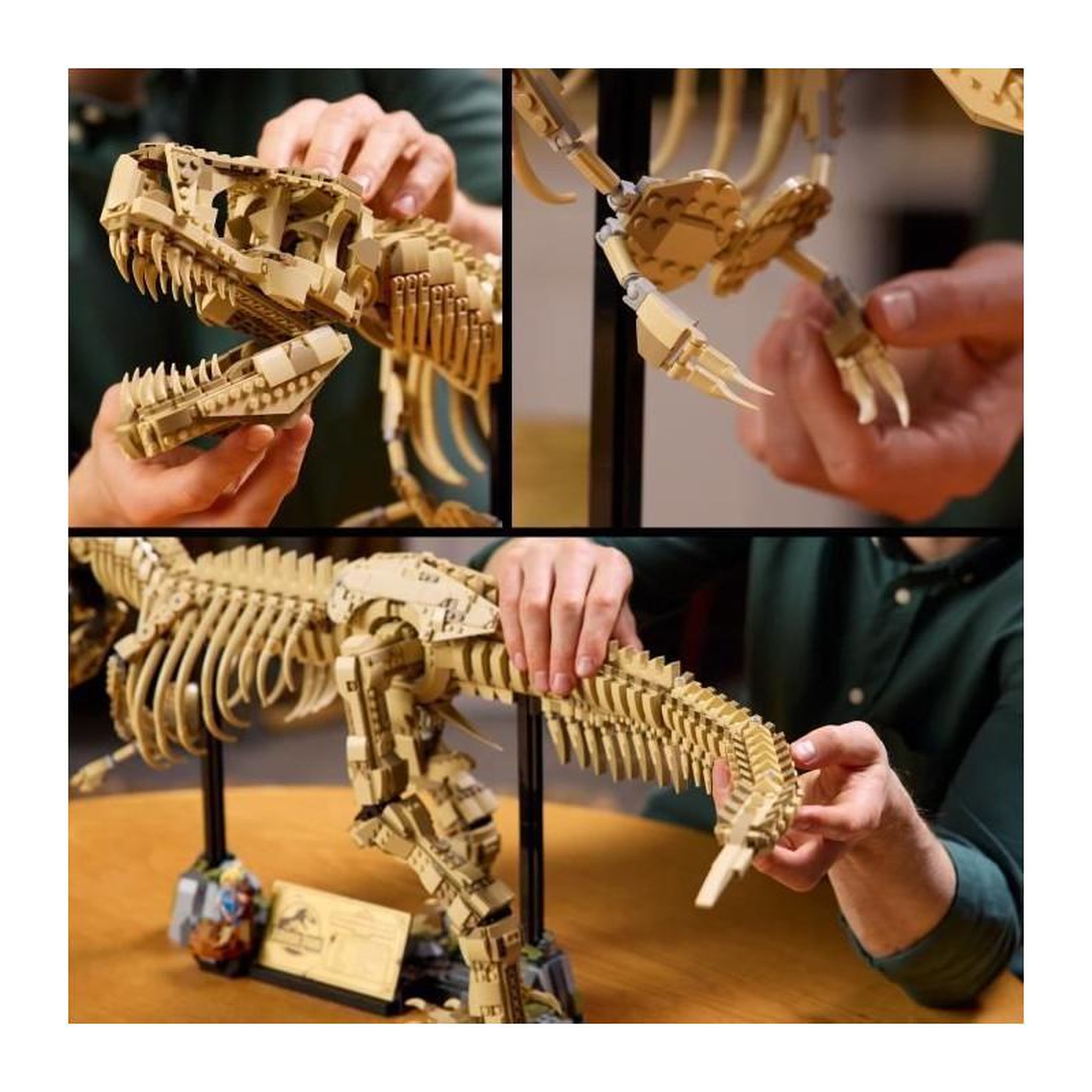 Voir la diapositive 4 : LEGO LEGO Jurassic World 76968 Les Fossiles de Dinosaures : le Tyrannosaurus Rex - Pour Adulte