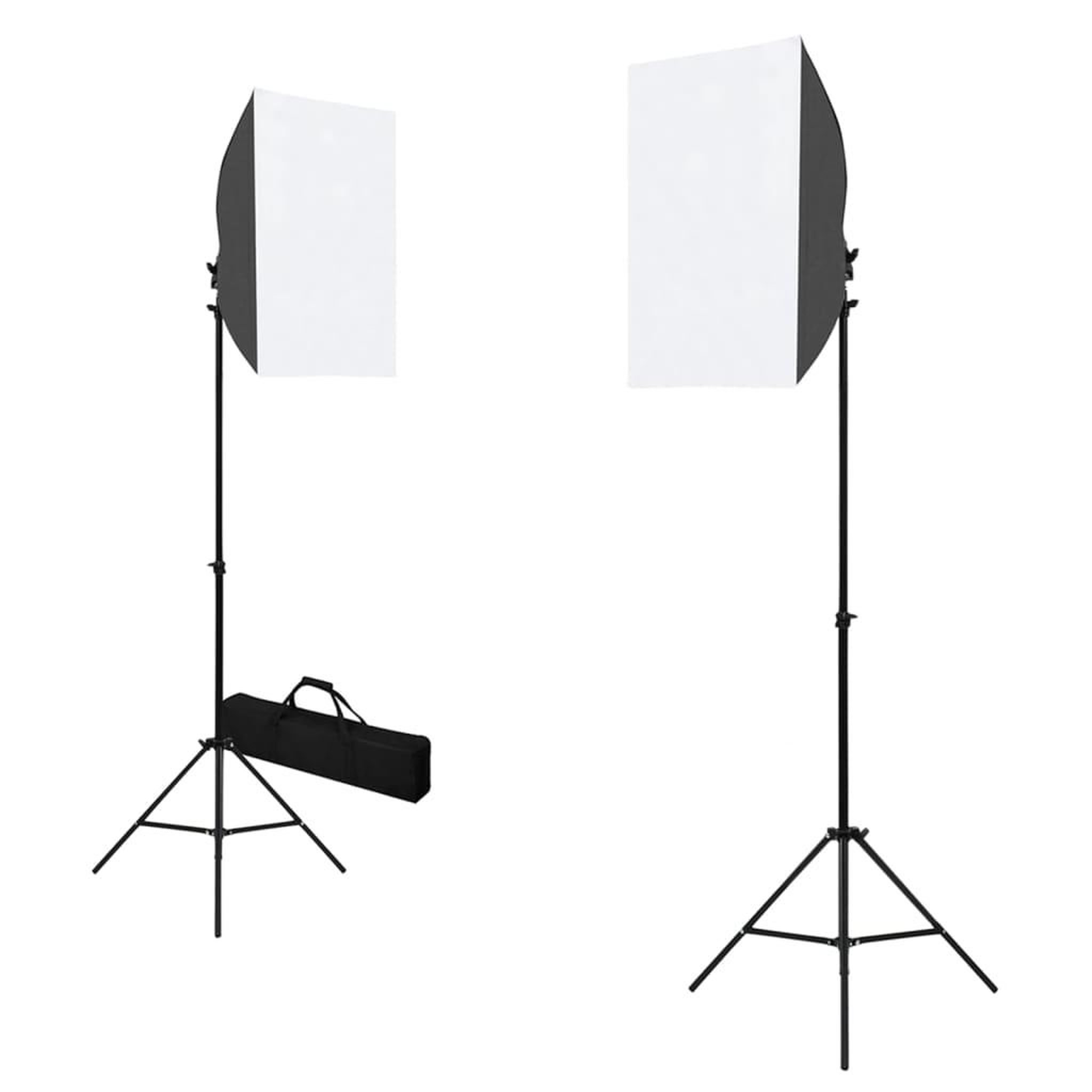 Voir la diapositive 2 : VIDAXL Kit de studio photo avec boîtes a lumiere et toile de fond