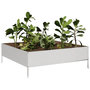 Voir la diapositive 3 : VIDAXL Lit sureleve de jardin 100x100x33,5 cm acier inoxydable