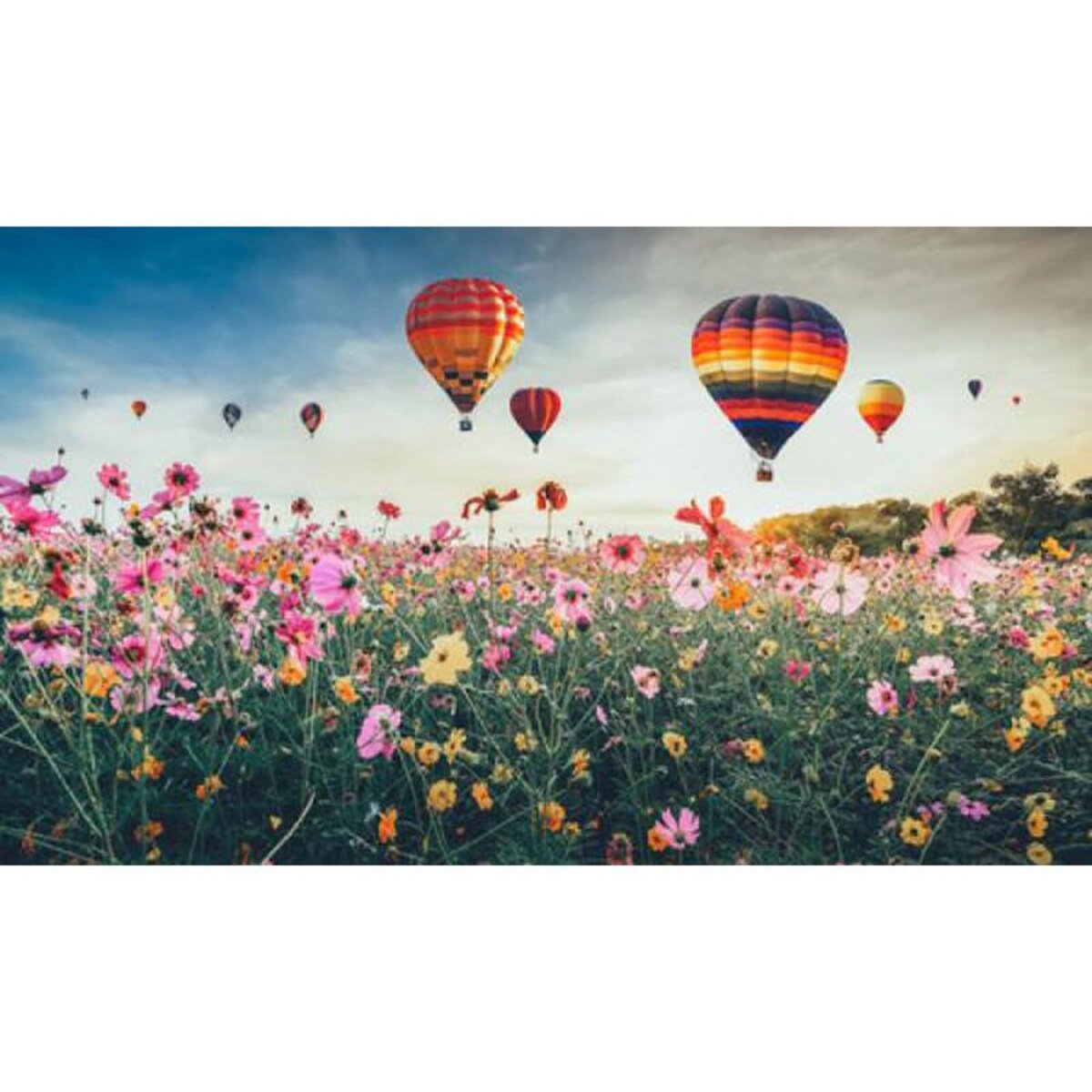 ALIZE PUZ 1000P CHAMP MONTGOLFIERE ALIZE ALI50082