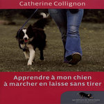 APPRENDRE A MON CHIEN A MARCHER EN LAISSE SANS TIRER. AVEC 1 DVD, Collignon Catherine