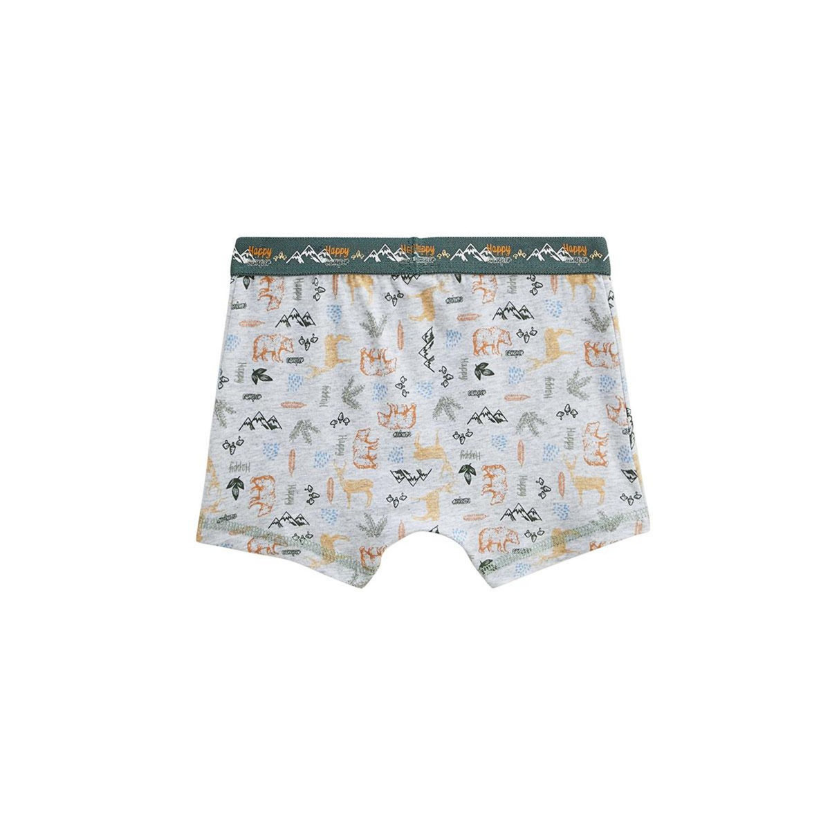 Petit Béguin Lot de 2 boxers garçon Forest