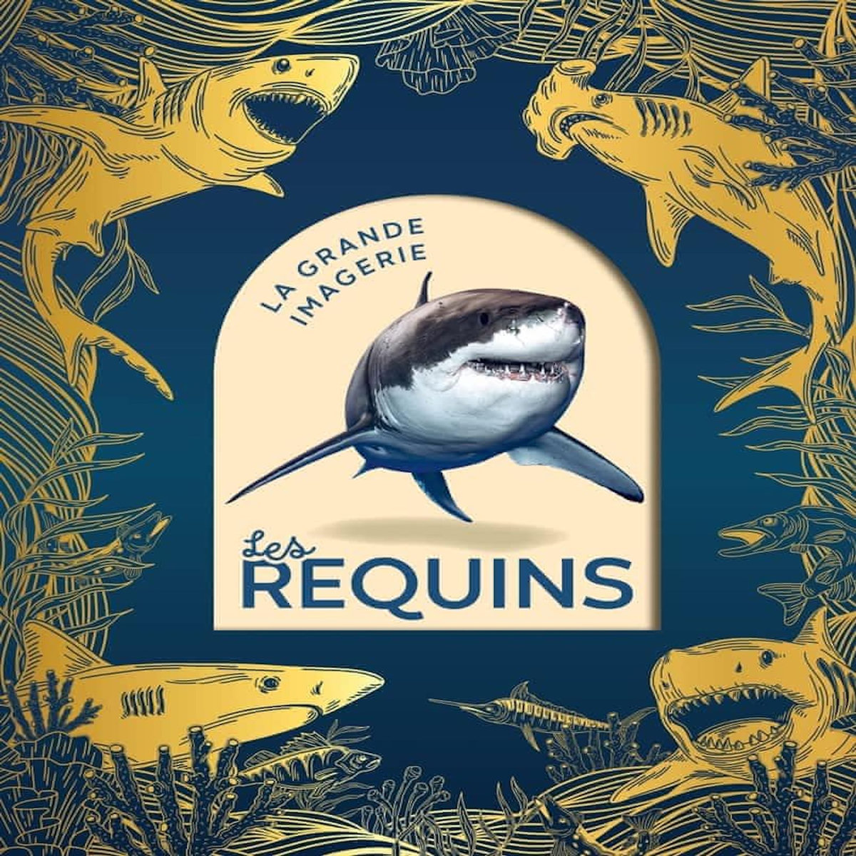 LES REQUINS. EDITION COLLECTOR, Franco Cathy