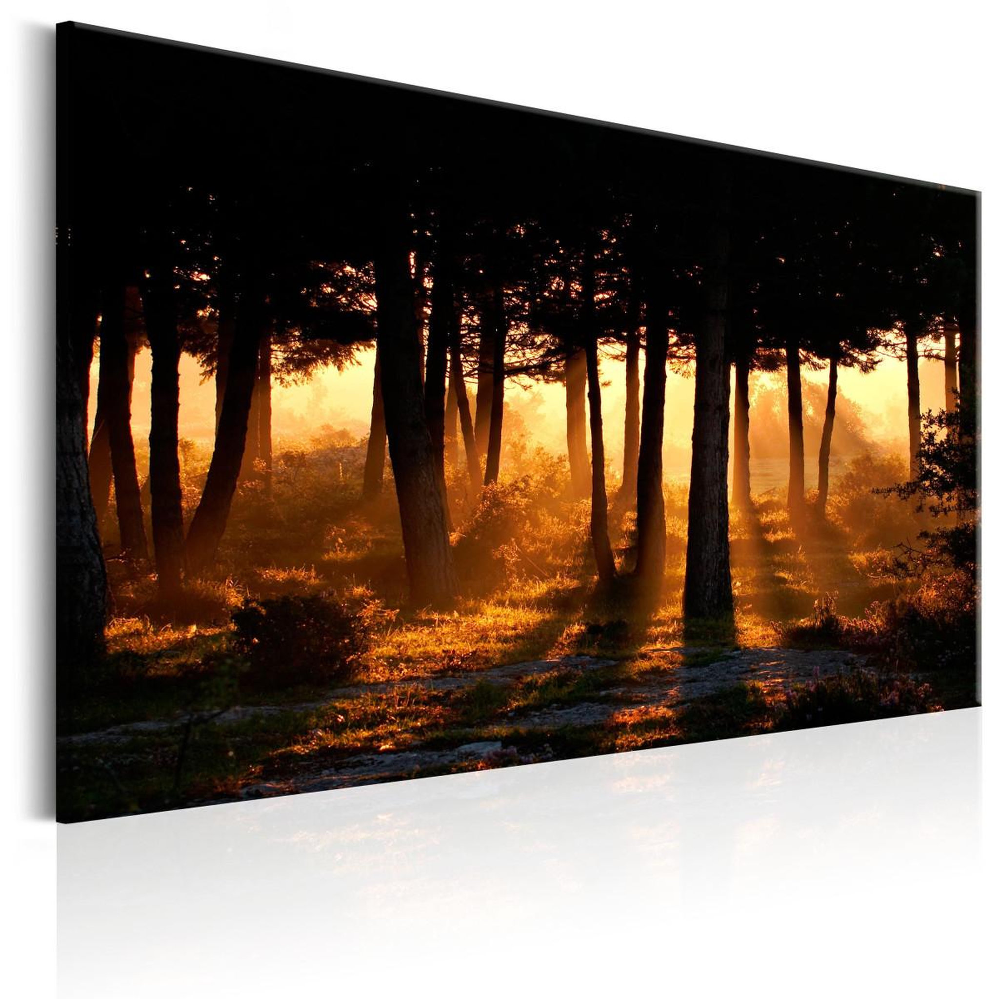 Paris Prix Tableau imprimé  forest dawn. Coloris disponibles : Multicolore