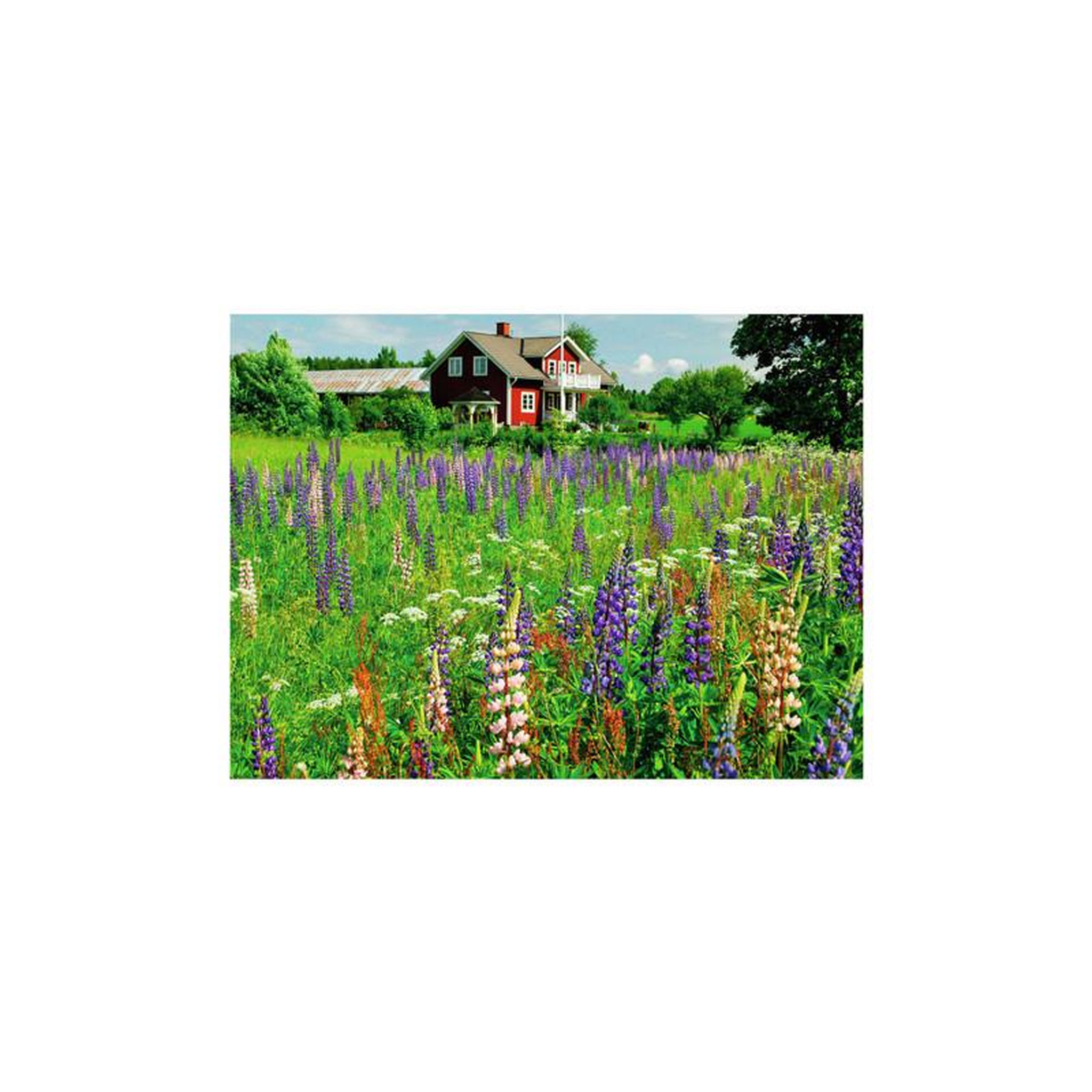 Voir la diapositive 2 : RAVENSBURGER Ravensburger - Jigsaw puzzle Bauernhof in Sweden, 500 pcs. 12000844 6