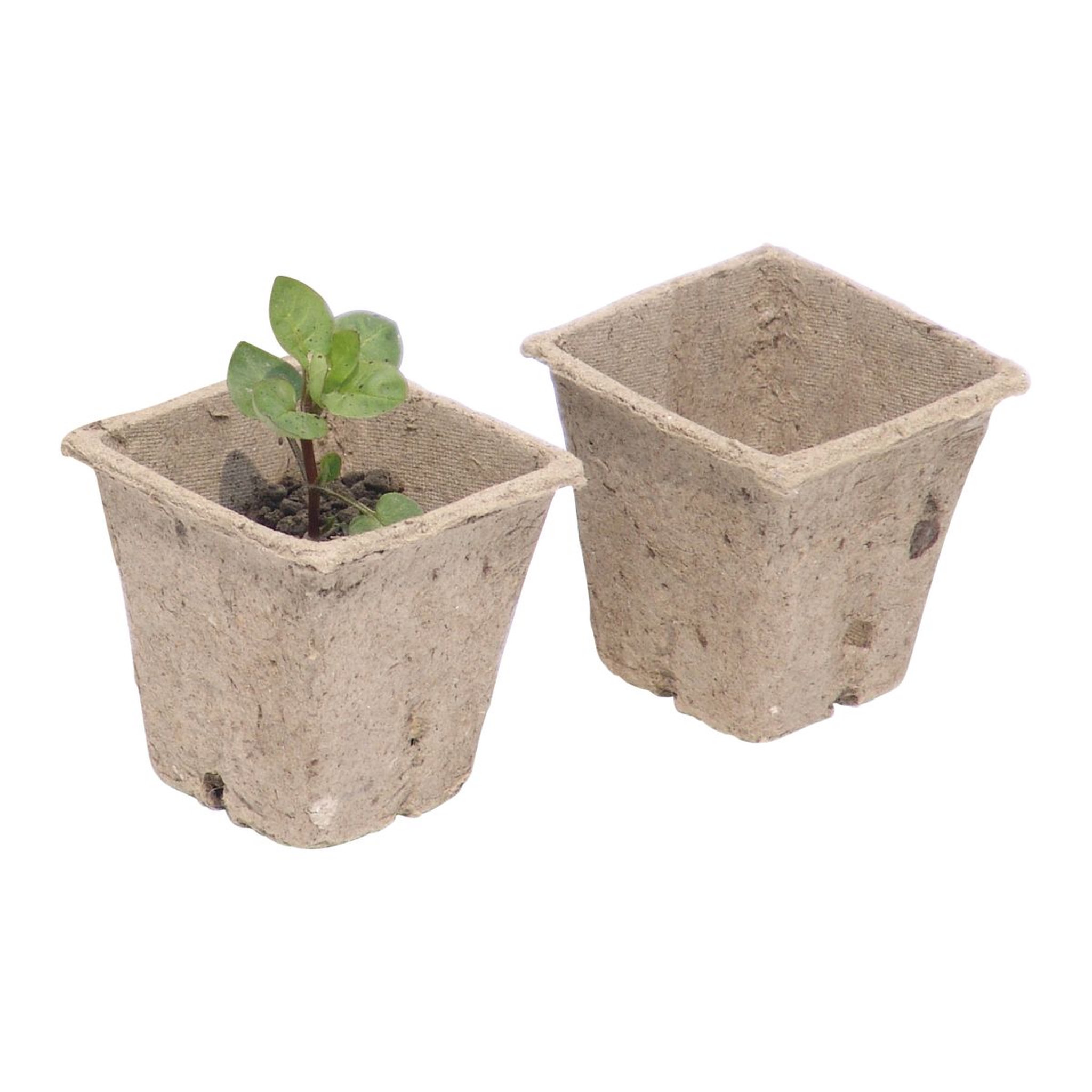 Voir la diapositive 2 : GARDENSTAR Lot de 24 pots biodégradables en fibre - 6 x 6 cm