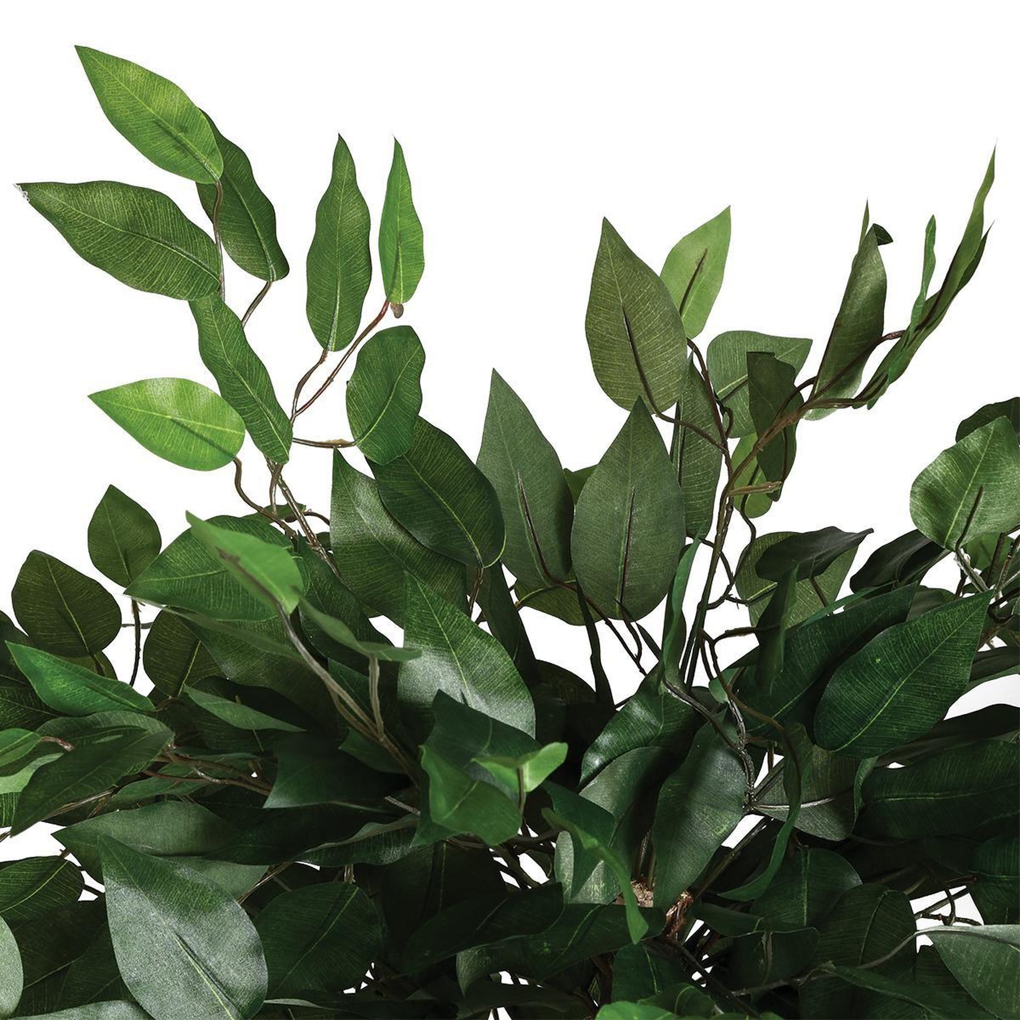 Voir la diapositive 2 : ATMOSPHERA Plante artificielle  ficus  120cm vert
