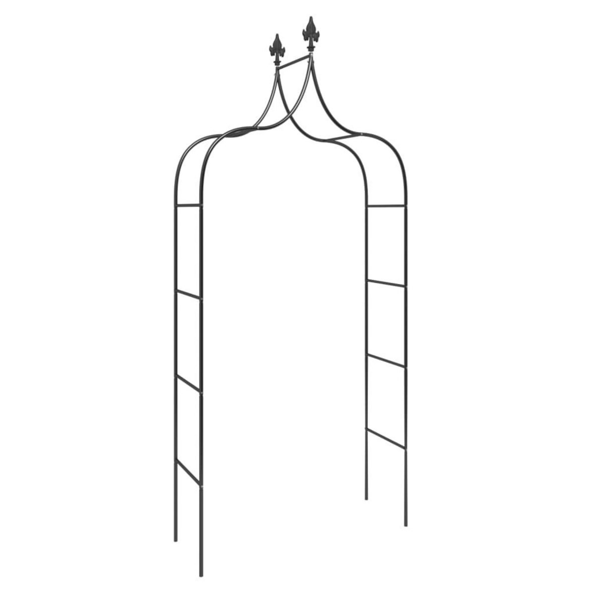 VIDAXL Arches de jardin 2 pcs Noir 120x38x260 cm Acier