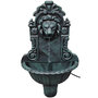 Voir la diapositive 1 : VIDAXL Fontaine murale Design de tete de lion