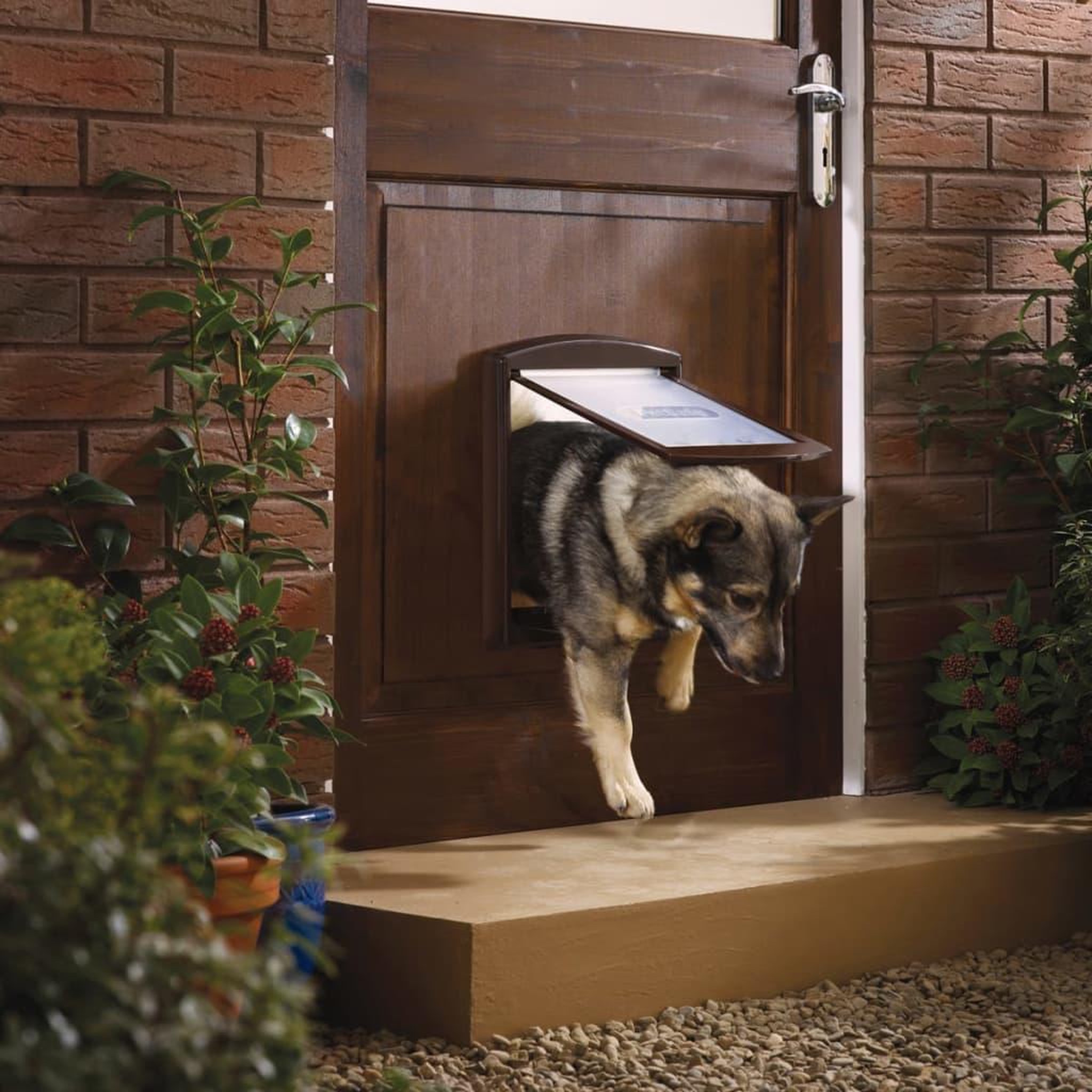 Voir la diapositive 2 : PETSAFE PetSafe Porte a 2 voies pour chiens 755 Medium 26,7 x 22,8 cm Marron
