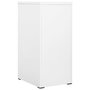 Voir la diapositive 3 : VIDAXL Classeur Blanc 46x62x102,5 cm Acier