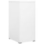 Voir la diapositive 3 : VIDAXL Classeur Blanc 46x62x102,5 cm Acier