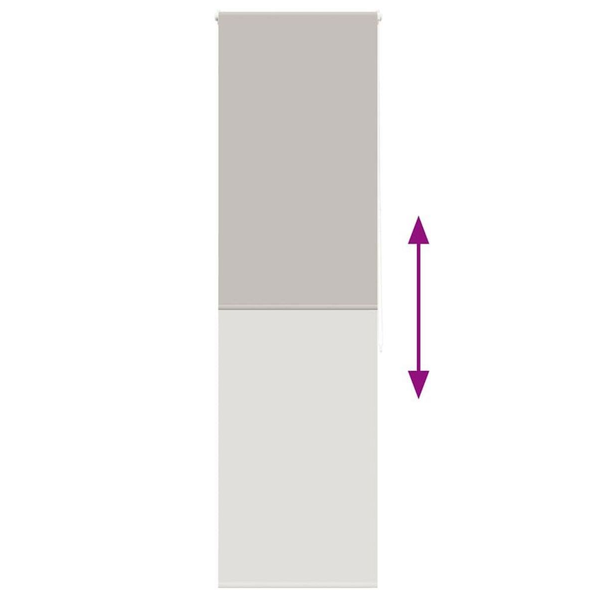 VIDAXL Store enrouleur de douche 60x240 cm largeur du tissu 56 cm