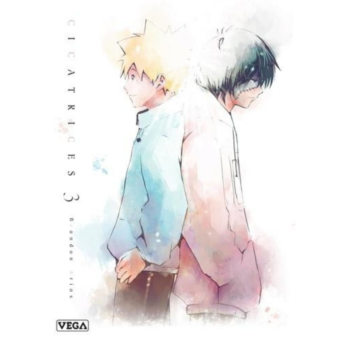 CICATRICES TOME 3 , Arias Brandon