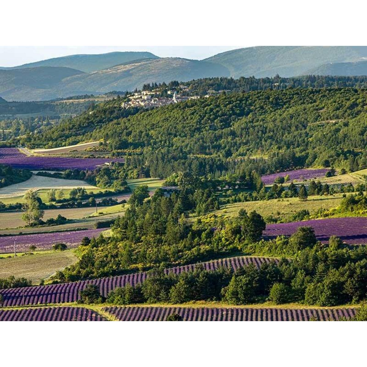 Smartbox Vol en hélicoptère de 30 min au-dessus des villages du Luberon - Coffret Cadeau Sport & Aventure