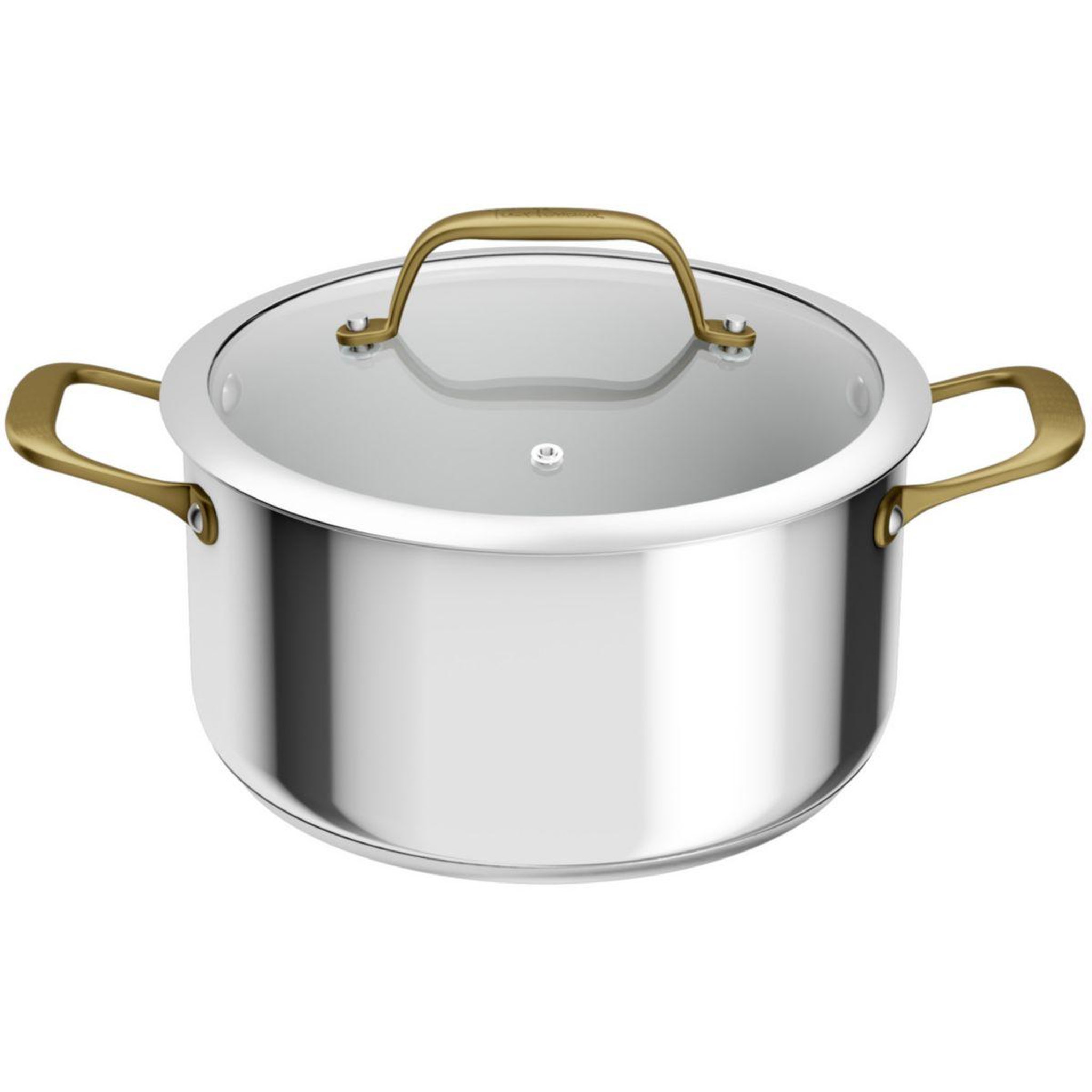 TEFAL Faitout 24cm edition bocuse