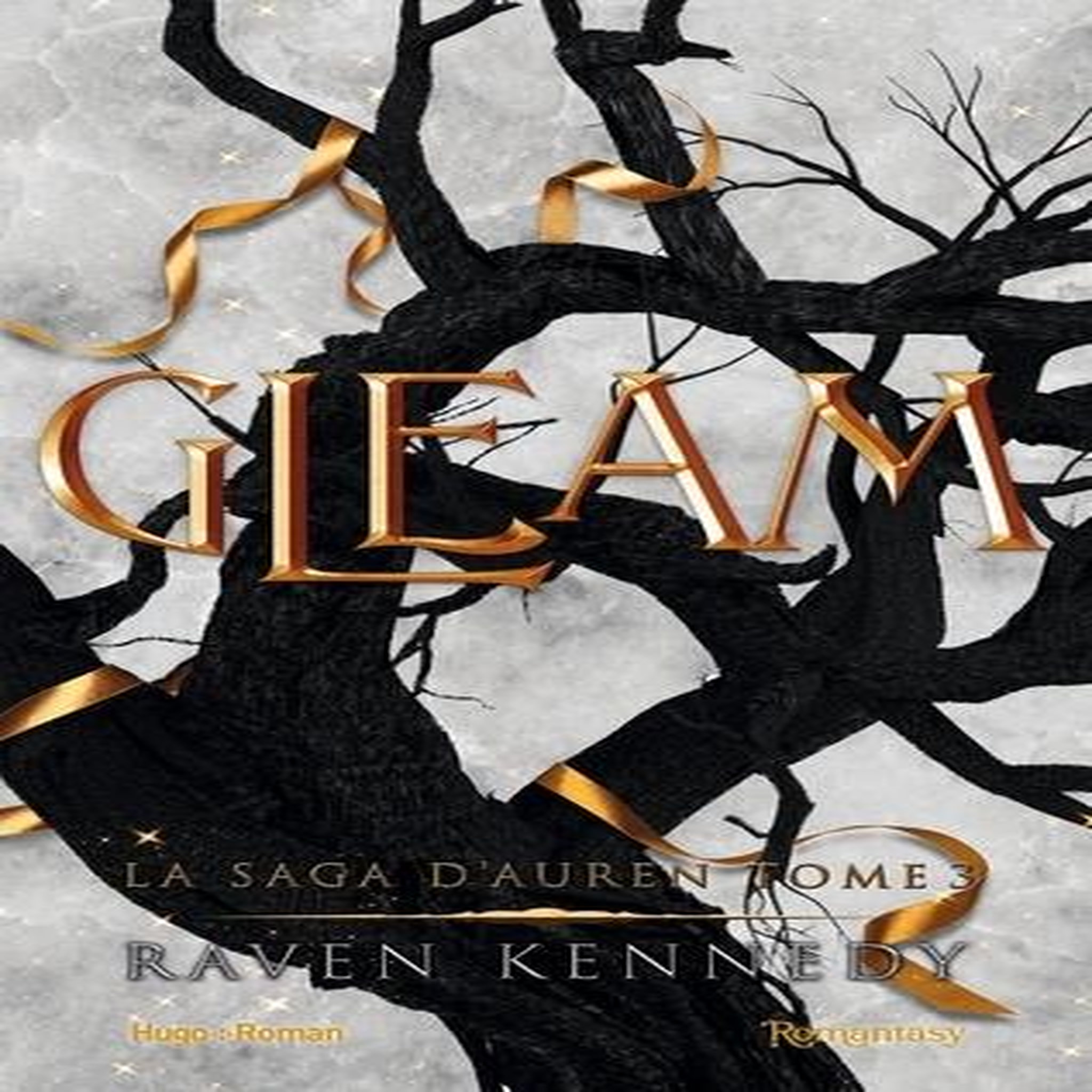 LA SAGA D'AUREN TOME 3 : GLEAM, Kennedy Raven
