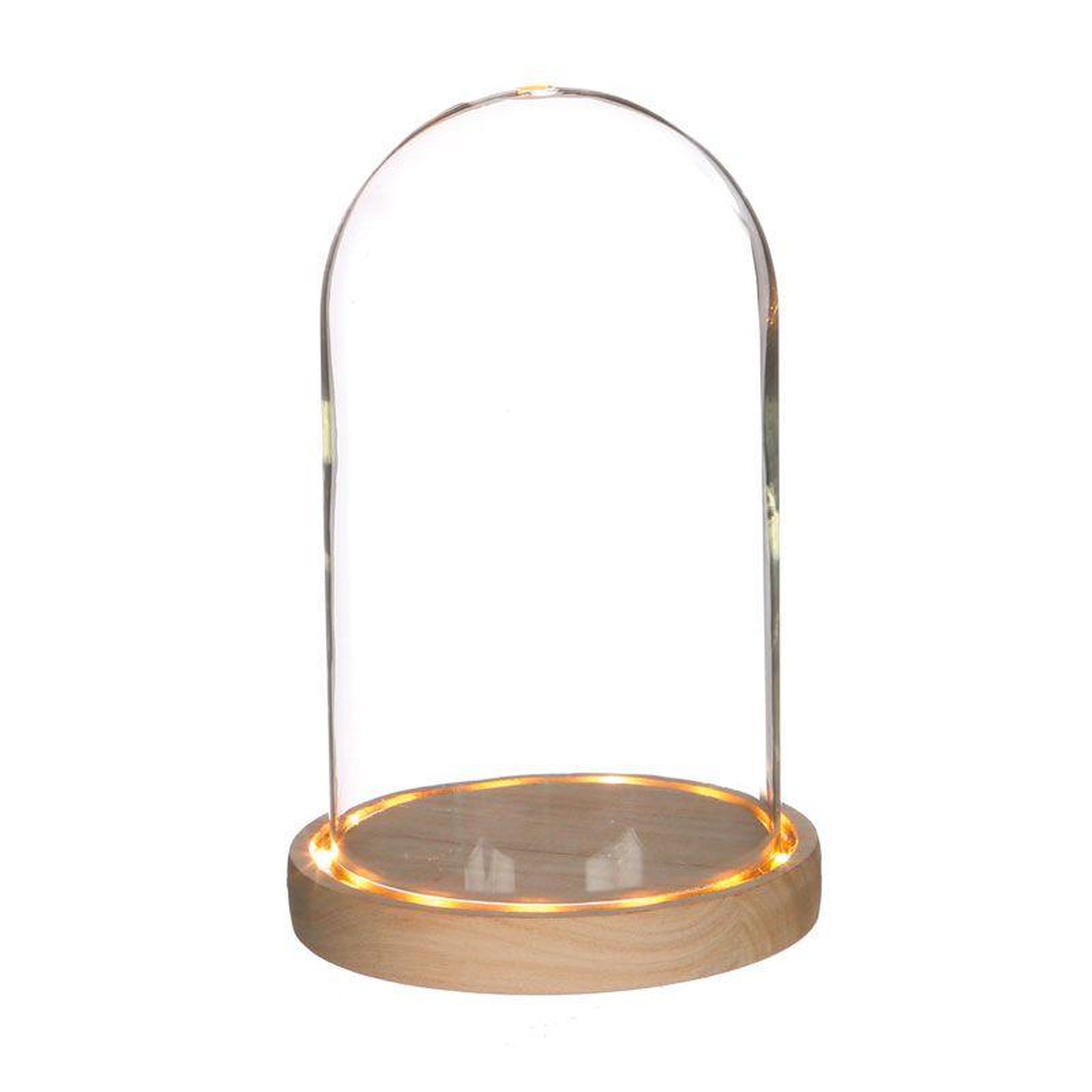 Graine créative Cloche en verre lumineuse 21,5 cm x ø 14 cm