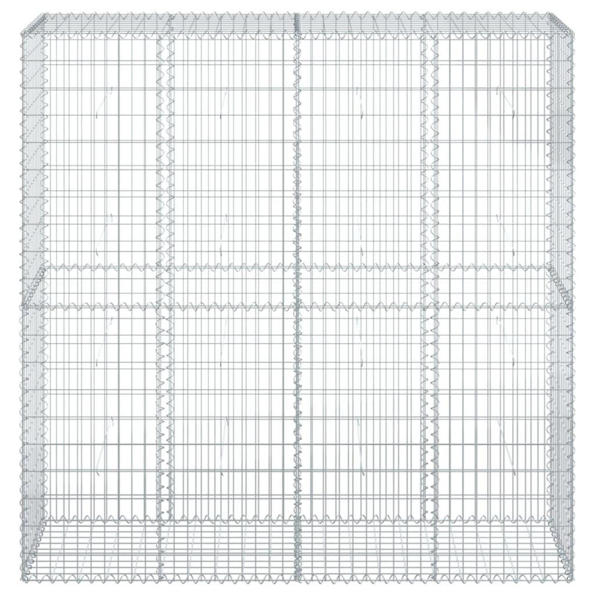 VIDAXL Panier gabion avec couvercle 200x50x200 cm fer galvanise