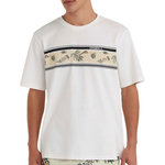 O'NEILL T Shirt  Homme O'Neill Mix & Match. Coloris disponibles : Blanc